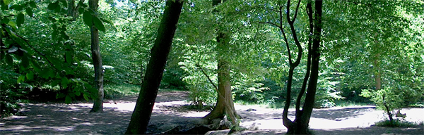 belfairs Belfairs Woods